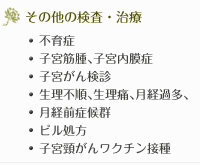 その他の検査・治療…不育症、子宮筋腫、子宮内膜症、子宮がん検診、更年期障害、生理不順、生理痛、月経過多、月経前症候群、膣炎、性行為感染症、ブライダルチェック、ピル処方、妊婦健診（初期、中期）、子宮頸がん（サーバリックス）ワクチン接種